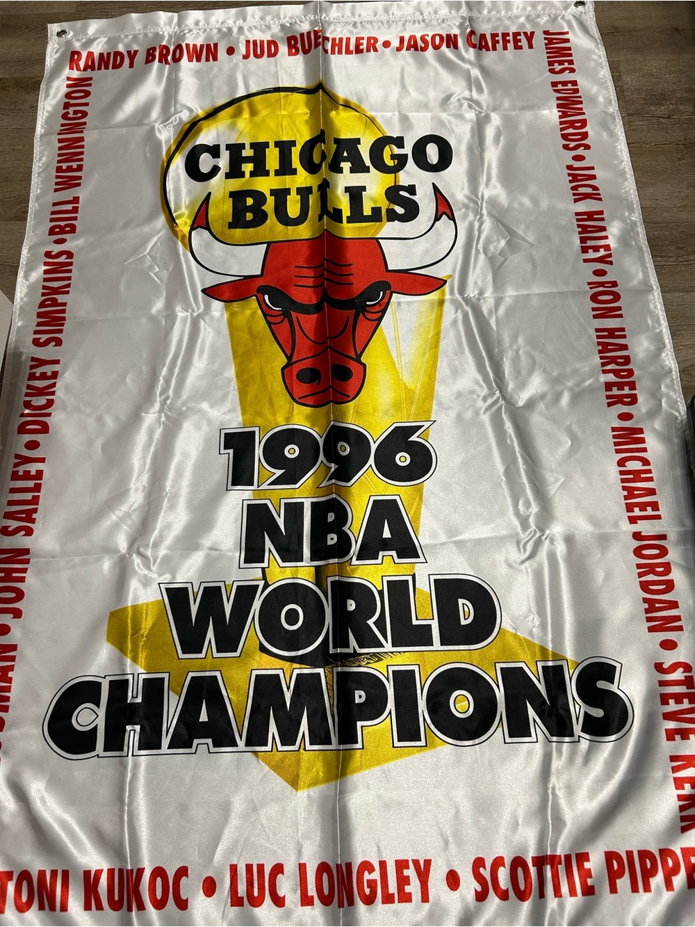 Vintage Chicago Bulls 1996 NBA World Champions Banner 5x3 feet Jordan